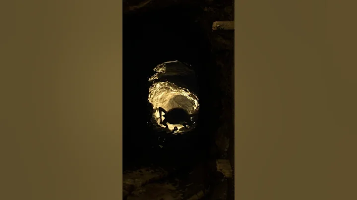 ETHAN Is Not Phased By ANYTHING!?! 😳