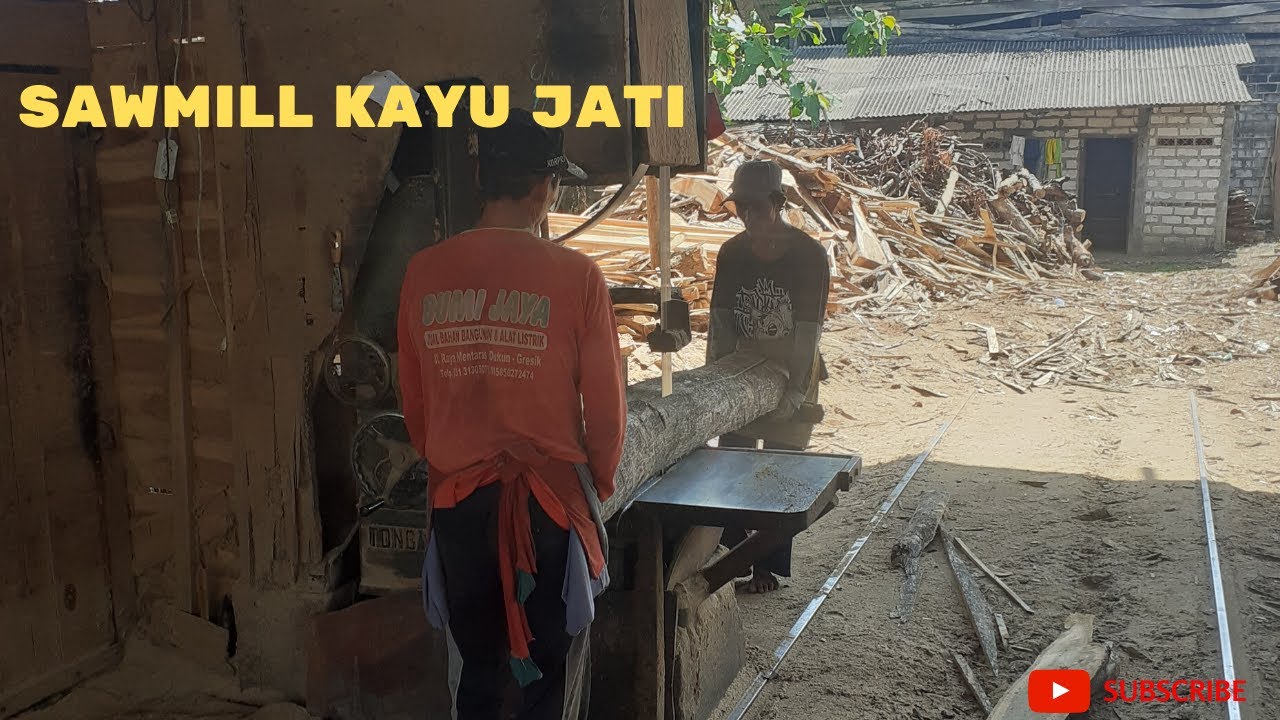 Proses sawmill kayu jati YouTube