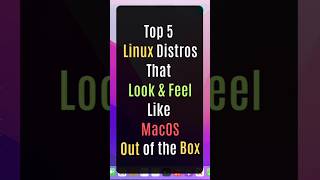 Top 5 Linux Distros That Look And Feel Like Macos