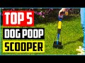 Top 5 Best Dog Poop Scooper for Grass of 2021 Review