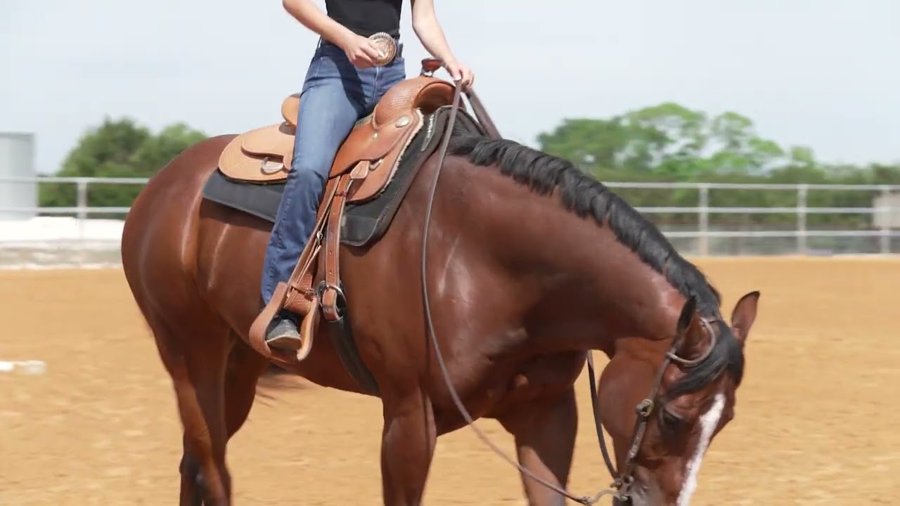 Application of Stride Length Control