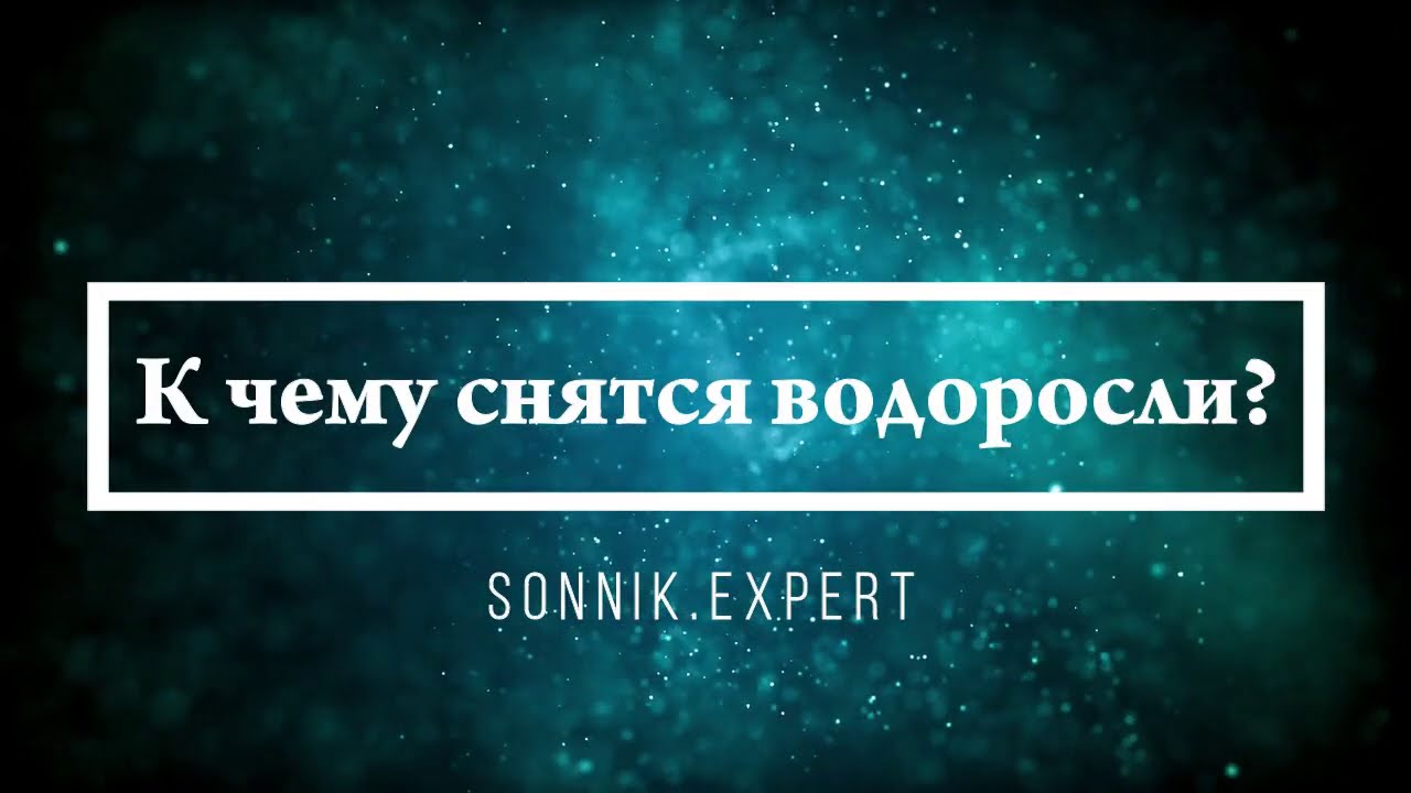 К чему снятся водоросли - Онлайн Сонник Эксперт