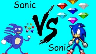 SONIC VS SANIC