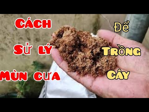 Video: Sử dụng mùn cưa trong đống phân trộn của bạn - Làm vườn biết cách