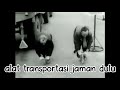 ALAT TRANSPORTASI JAMAN DULU