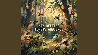 Woodland Beetle Buzzing Ambience