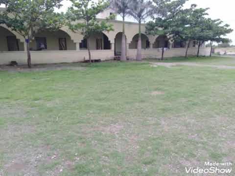 اسلامی رنگ ٹون