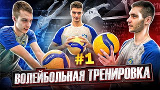 картинка: Волейбольная тренировка #1