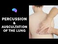 Percussion Auscultation Of The Lungs OSCE Guide Clip UKMLA CPSA PLAB 2