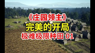 完美的开局！极难极限种田！《庄园领主》新手极难种田教程攻略01| MANOR LORDS