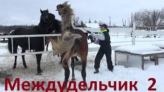 видео: О тайных знаниях или умеете ли вы ругаться матом? картинка: О тайных знаниях или умеете ли вы ругаться матом?