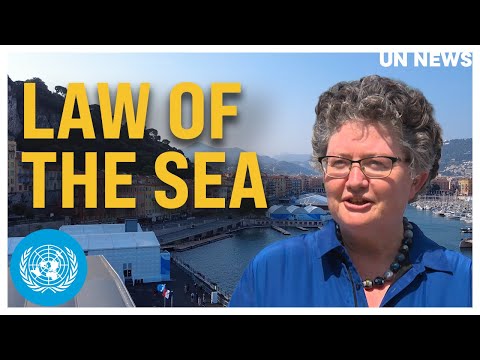 Video Game-changing international marine protection treaty comes into force | United Nations - youtube