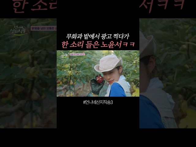결국 혼나는 노윤서 ㄷㄷ #언니네산지직송3