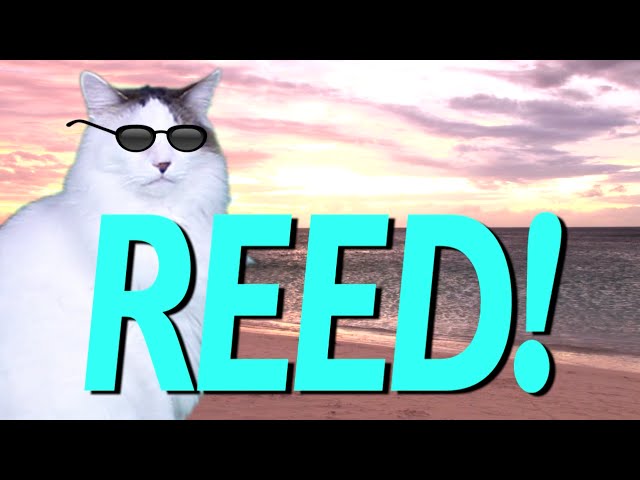 HAPPY BIRTHDAY REED! - EPIC CAT Happy Birthday Song