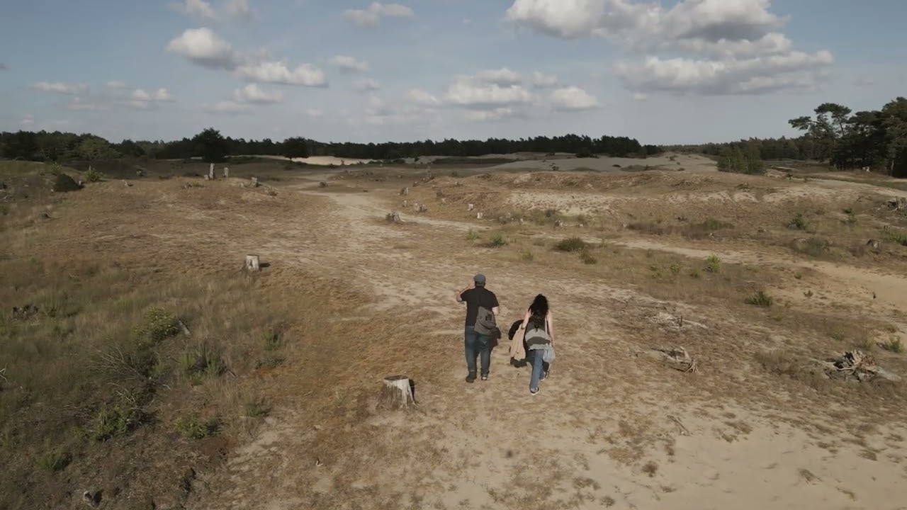 Zand verstuiving Otterlo 3 / Sand drift at Otterlo (nl)