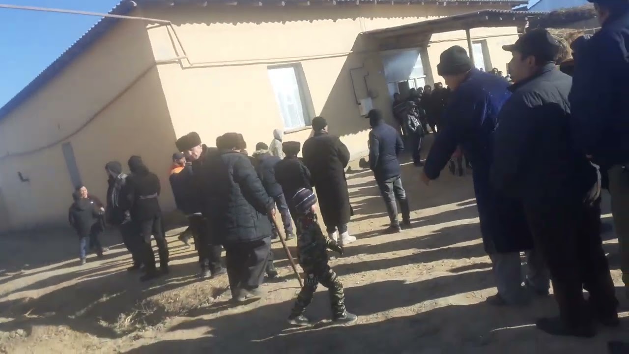 богот миришкор