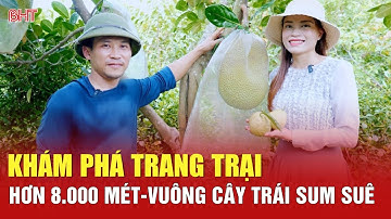 Khám phá trang trại hơn 8.000 mét-vuông cây trái sum suê