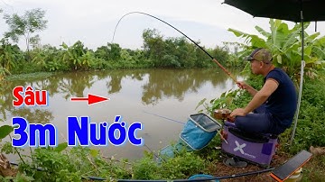 Không Ngờ Sau 2 Năm Quay Lại Điểm Câu Này Vẫn Còn Rất Nhiều Cá | Câu Đài Nghiệp Dư