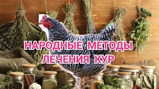 Traditional Methods of Treating Chickens and Their Efficiency