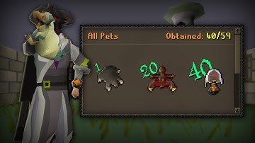 OSRS Endgame Ironman Completionist - #12