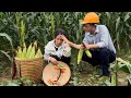 Single mother harvests corn gets into trouble the kind man helped  l t tiu