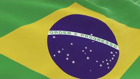 Custom Flag Pack | After Effects template