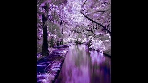 سورة التين  للشيخ ماهر المعيقلي  سورة رقم (95)