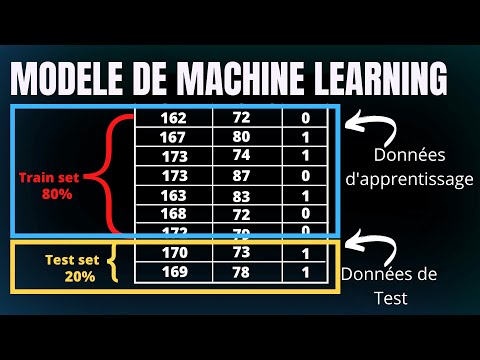 Vidéo: Pourquoi utiliser un modèle pré-entraîné ?