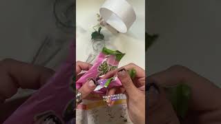 Making A Mini Lifestyle Just For Fun!!