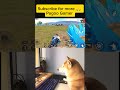 Tele Khatam😋 #voice #funny #bgmi #victorvsfullsquadinbgmi #pubg #youtubeshorts