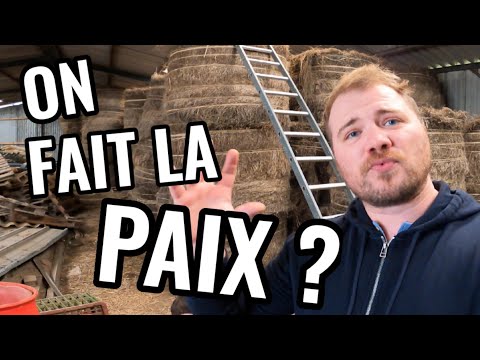 Rats au poulailler : je change de stratégie et joue l'appât de la confiance