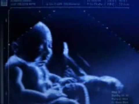 twins fight - it's the final countdown