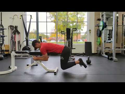 Bent Knee Reverse Hyperextensions