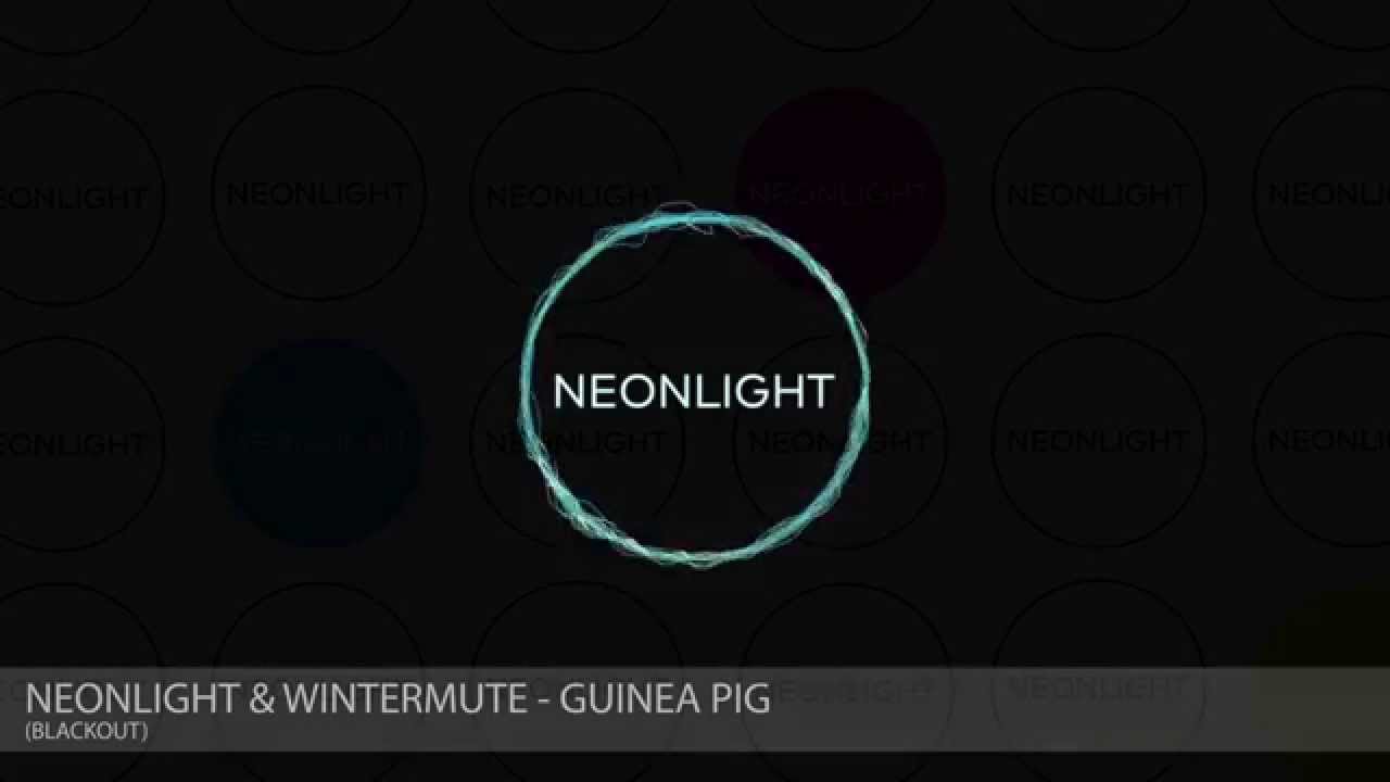 Watch Neonlight & Wintermute - Guinea Pig (Blackout) on YouTube Watch Neonlight & Wintermute - Guinea Pig (Blackout) on YouTube