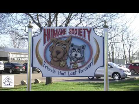 Genesee County Mi Humane Society