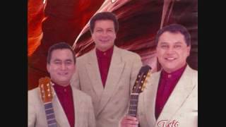 PARA TODA LA VIDA — TRÍO DEL ÁNGEL