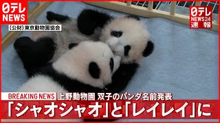 【双子パンダ】名前は「シャオシャオ」と「レイレイ」に　上野動物園