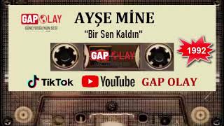 Ayşe Mine - Bir Sen Kaldın 1992 Resimi