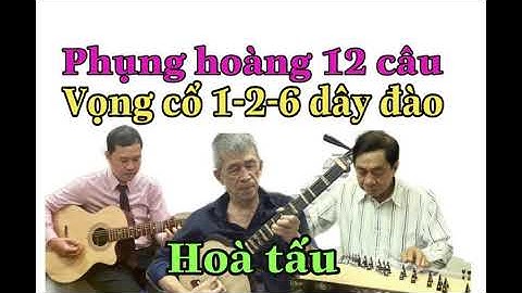 HÒA TẤU PHỤNG HOÀNG 12 CÂU VỌNG CỔ 1-2-6 DÂY ĐÀO - DANH CẦM TRỪ QUANG ft DANH CẦM HOÀNG VŨ ,DUY KIM