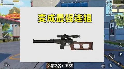 假如弹道不会下坠，什么武器会变强？VSS将翻身成最强连狙 - 天天要闻
