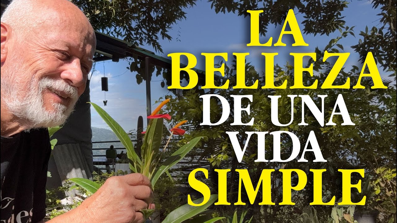 Las ventajas de volver a los simple