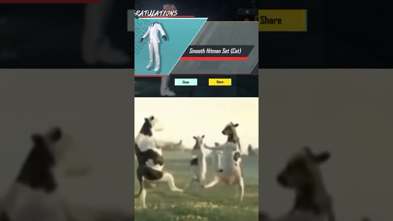 GAON MEIN BIRYANI BANTWARA ✅||ROX_HFXT||BGMI||