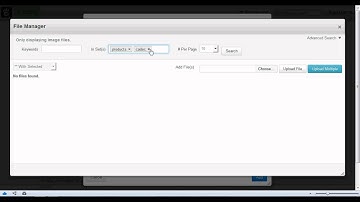 Concrete5 - Adding Images.avi