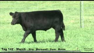 2012 Jeff Miller Online Calf Sale Tag 142