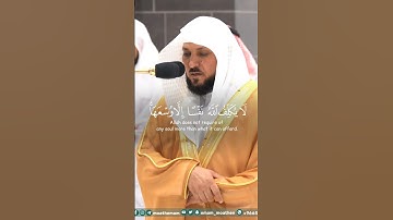 لا يكلف الله نفسا إلا وسعها لفضيلة الشيخ د. ماهر المعيقلي سورة البقرة