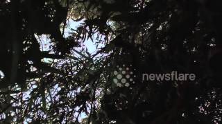 Epic Drone Crash