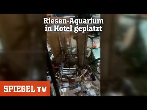 Riesen-Aquarium geplatzt - So wurde der Aquadom gebaut | SPIEGEL TV