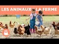 Les animaux de la ferme - leur cri, leurs petits, leur famille