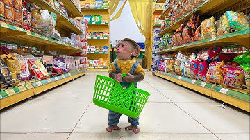 Super chef Cubis monkey goes shopping help Dad!