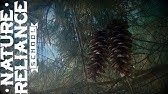 Pine Tree Crosses - Easter2011.mpg - YouTube